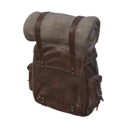 dark and darker coin backpack